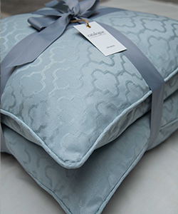 Pair of Blue Luxurious Premium cushions with goose down filling (50 x 50)