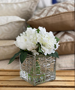 Hydrangea in Glass Cube
